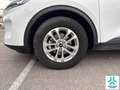 Ford Kuga 1.5 EcoBoost Titanium FWD 150 Weiß - thumbnail 13