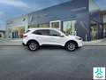 Ford Kuga 1.5 EcoBoost Titanium FWD 150 Weiß - thumbnail 4