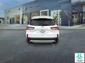 Ford Kuga 1.5 EcoBoost Titanium FWD 150 Weiß - thumbnail 5