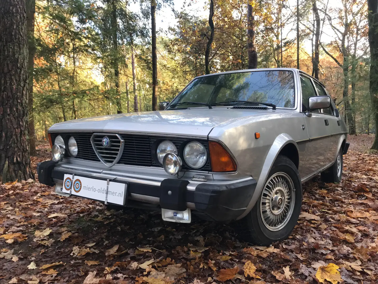 Alfa Romeo Alfa 6 2.5 – origineel Nederlands – uit eerste serie Gris - 1