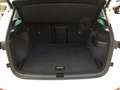 Skoda Karoq 1.5TSI DSG Selection Matrix AHK Navi SHZ Rear View Weiß - thumbnail 19