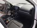 Skoda Karoq 1.5TSI DSG Selection Matrix AHK Navi SHZ Rear View Weiß - thumbnail 17