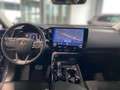 Lexus NX 450h+ E-FOUR Business KAMERA  NAVI Gris - thumbnail 14