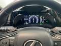 Lexus NX 450h+ E-FOUR Business KAMERA  NAVI Gris - thumbnail 12