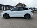 Ford Kuga ST-Line ACC Kamera Navi Blanc - thumbnail 13