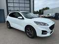 Ford Kuga ST-Line ACC Kamera Navi Blanc - thumbnail 5