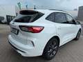 Ford Kuga ST-Line ACC Kamera Navi Blanc - thumbnail 9