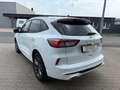 Ford Kuga ST-Line ACC Kamera Navi Blanc - thumbnail 11