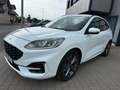 Ford Kuga ST-Line ACC Kamera Navi Blanc - thumbnail 3