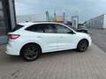 Ford Kuga ST-Line ACC Kamera Navi Blanc - thumbnail 7