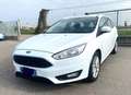 Ford Focus Focus SW 1.5 tdci Business s Weiß - thumbnail 1