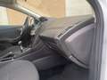 Ford Focus Focus SW 1.5 tdci Business s Weiß - thumbnail 15