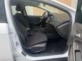 Ford Focus Focus SW 1.5 tdci Business s Weiß - thumbnail 14