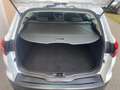 Ford Focus Focus SW 1.5 tdci Business s Weiß - thumbnail 17