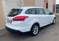 Ford Focus Focus SW 1.5 tdci Business s Weiß - thumbnail 2