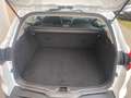 Ford Focus Focus SW 1.5 tdci Business s Weiß - thumbnail 18