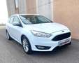 Ford Focus Focus SW 1.5 tdci Business s Weiß - thumbnail 4