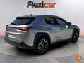 Lexus UX 250h 2.0+250h+Business Gris - thumbnail 8