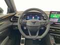 CUPRA Terramar TRIBE 1.5 e-TSI 150 PS DSG Schwarz - thumbnail 12
