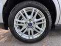 Ford C-Max C-Max II 2010 1.6 tdci Titanium 115cv dpf Argento - thumbnail 17