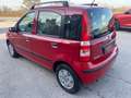 Fiat Panda 1.2 Dynamic "NEOPATENTATI" Rot - thumbnail 22