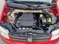 Fiat Panda 1.2 Dynamic "NEOPATENTATI" Rot - thumbnail 19