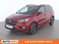 Ford Kuga 2.0 TDCi ST-Line Rot - thumbnail 1