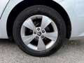 Skoda Octavia "PERFETTA" Octavia  SW 2.0 tdi evo Style 150cv dsg - thumbnail 20