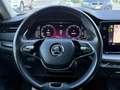 Skoda Octavia "PERFETTA" Octavia  SW 2.0 tdi evo Style 150cv dsg - thumbnail 30