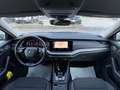 Skoda Octavia "PERFETTA" Octavia  SW 2.0 tdi evo Style 150cv dsg - thumbnail 22