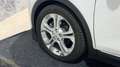 Opel Ampera-E Business executive 60 kWh Weiß - thumbnail 39