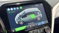 Opel Ampera-E Business executive 60 kWh Weiß - thumbnail 29