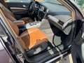 Audi A6 Avant 2.0 TDI/Navi/Leder/Xenon Gris - thumbnail 16