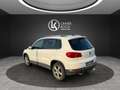 Volkswagen Tiguan Sky TDI 4mot DSG ''LEDER+AHV+DCC+KAMERA'' Weiß - thumbnail 2