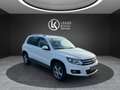 Volkswagen Tiguan Sky TDI 4mot DSG ''LEDER+AHV+DCC+KAMERA'' Weiß - thumbnail 4