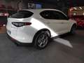 Alfa Romeo Stelvio 2.2 Turbo Sprint Alb - thumbnail 3