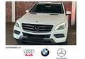 Mercedes-Benz ML 250 BT 7G 4Matic Comand/GSD/AHK/R.Kamera/EU6 Білий - thumbnail 1