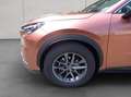 Lexus LBX , Komfort-Paket,Kamera,Totwinkel-Assistent,LED Rot - thumbnail 23