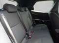 Lexus LBX , Komfort-Paket,Kamera,Totwinkel-Assistent,LED Rot - thumbnail 20