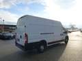 Fiat Ducato Ducato Maxi 35 L4H3 180 OHNE ADBLUE Nur für EXP... Weiß - thumbnail 2