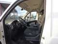 Fiat Ducato Ducato Maxi 35 L4H3 180 OHNE ADBLUE Nur für EXP... Weiß - thumbnail 3