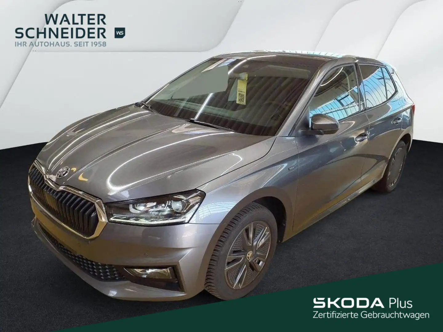 Skoda Fabia 1.0 TSI Selection LED SHZ PDC Grau - 1