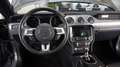 Ford Mustang 5.0  V8 Shelby Look *Schalter*Xenon*Navi Szürke - thumbnail 12