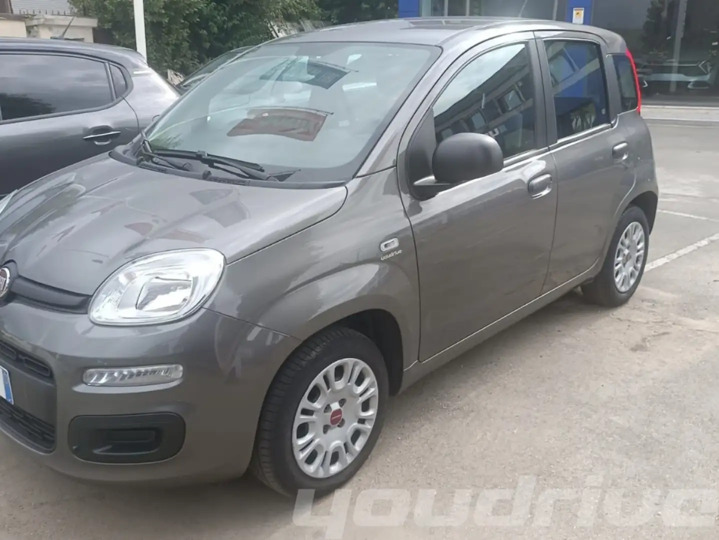 Fiat New Panda 1.2 EasyPower GPL KM 113.900 Grigio - 2