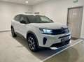 Citroen C5 Aircross PHASE 2 1.5 BLUEHDI 130 EAT8 PLUS Blanc - thumbnail 16