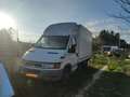 Iveco Daily Fg. 35S13 Corto RS 7.3 - thumbnail 1