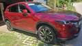 Mazda CX-5 e-SKYACTIV G165- 6AT 2WD Exclusiv line Rot - thumbnail 3