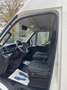 Iveco Daily IVECO H2L4 MAXI 12M Garantie Blanc - thumbnail 13