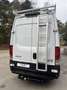 Iveco Daily IVECO H2L4 MAXI 12M Garantie Blanc - thumbnail 5