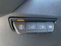 Renault Master NEW 3,5t  L2H2 170 PS  AHK  270° Kamera Argintiu - thumbnail 12